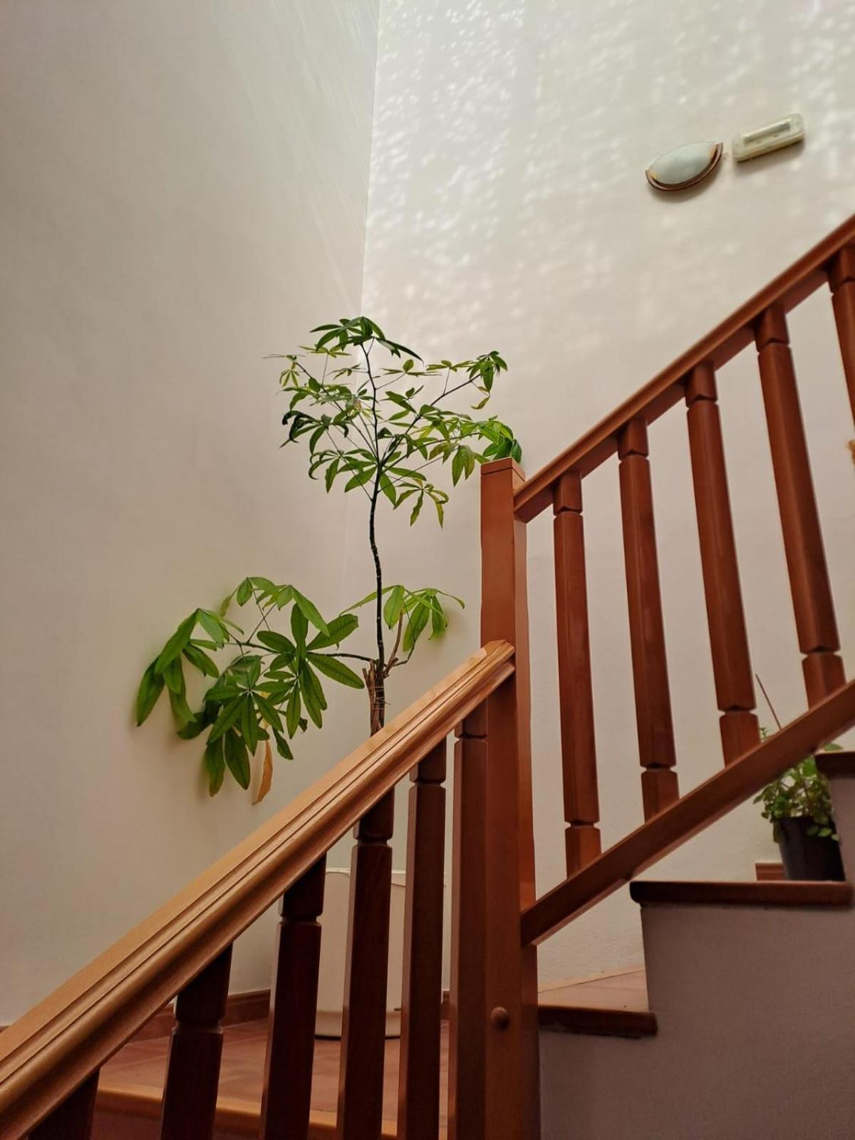 Delicias Hotel Peraltilla Bagian luar foto