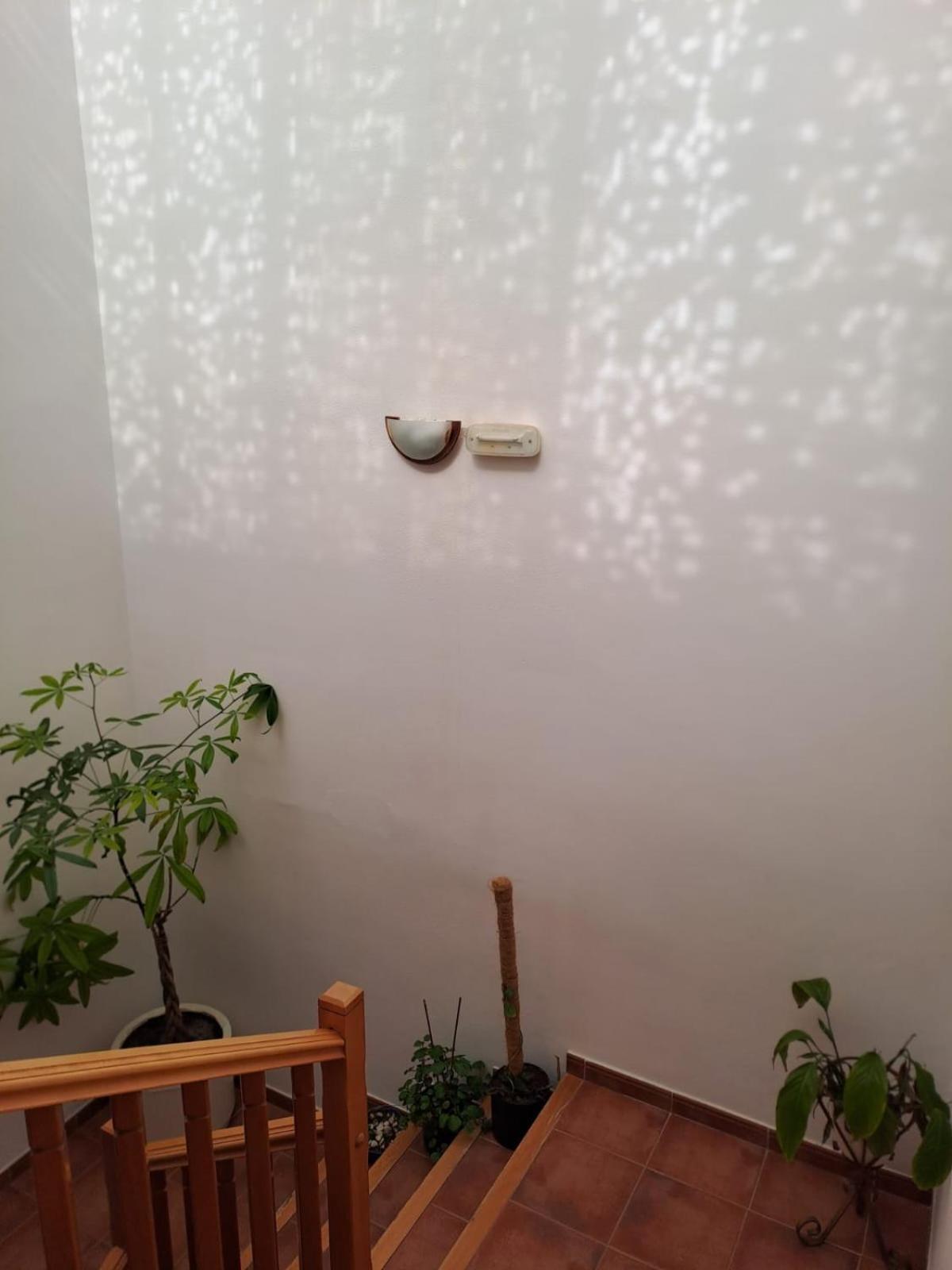 Delicias Hotel Peraltilla Bagian luar foto